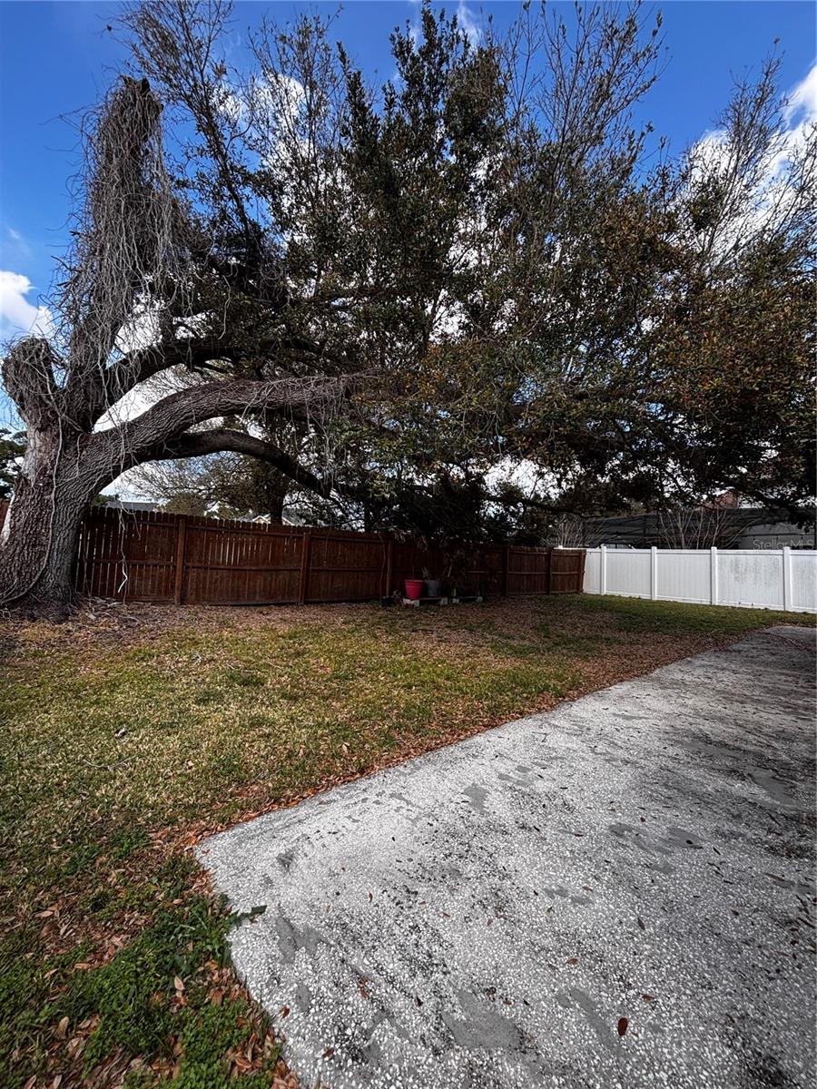 Image 10 of 10 For 1485 Oberlin Terrace