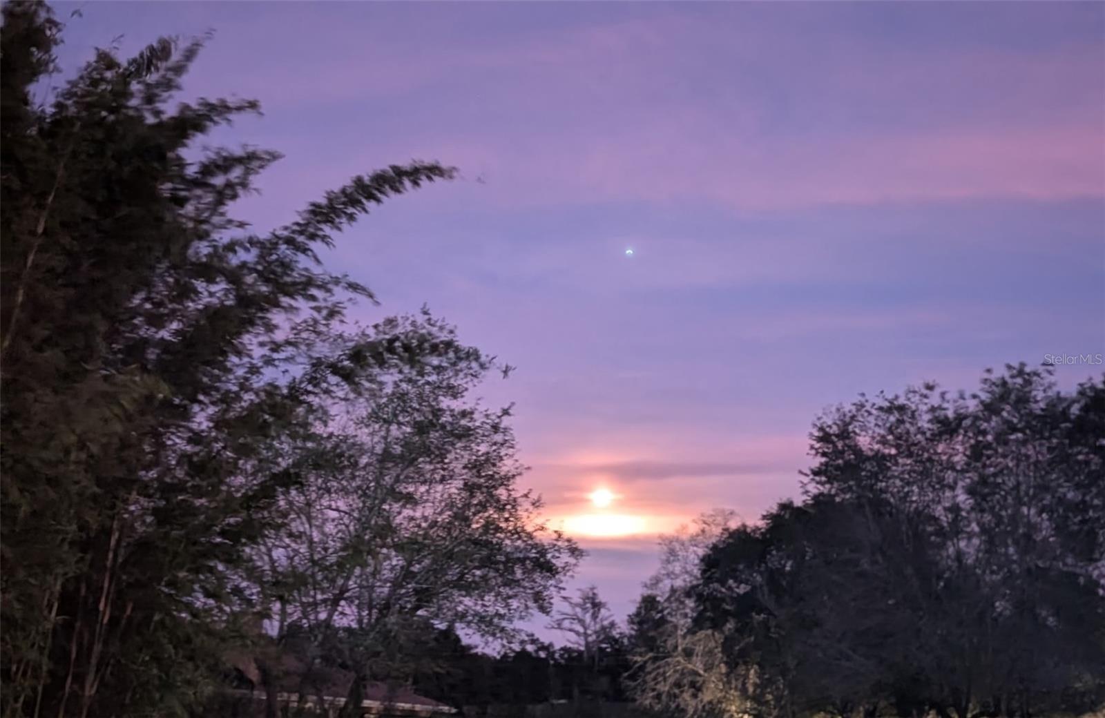 Image 3 of 28 For 13009 Roberts Island Road