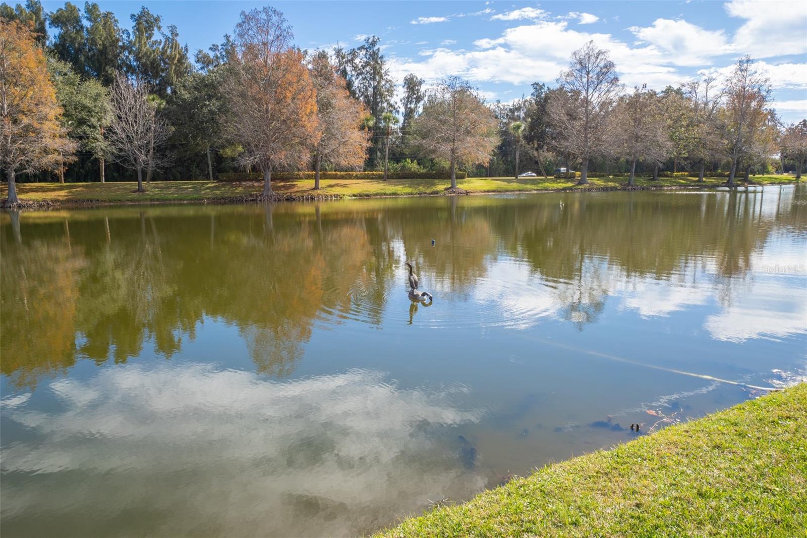 Image 38 of 50 For 3031 Southern Oaks Drive