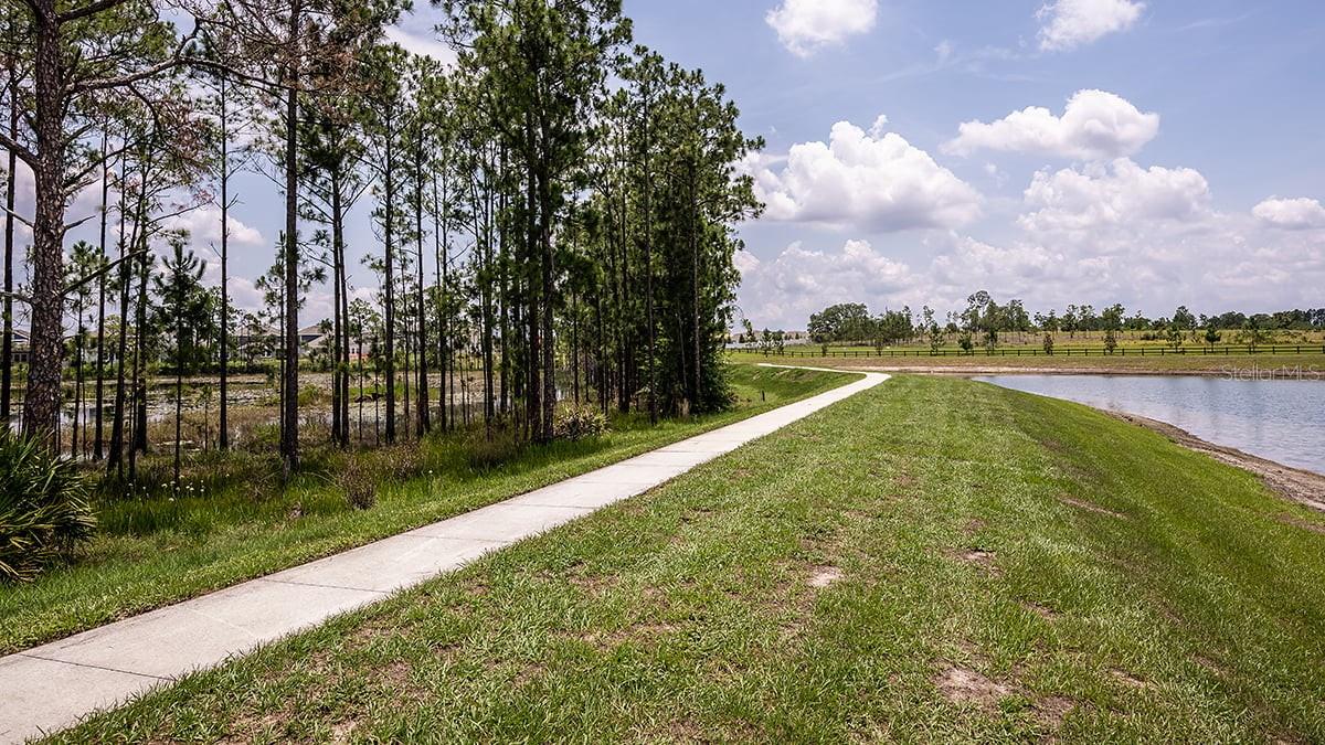 Image 51 of 53 For 12971 Harvest Rain Avenue