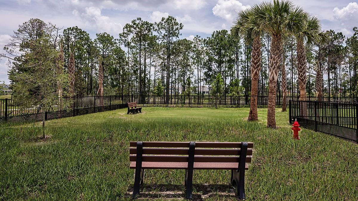 Image 53 of 53 For 12971 Harvest Rain Avenue