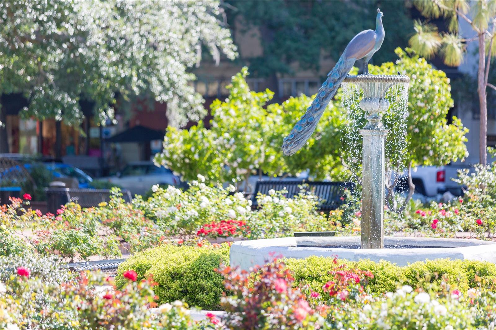 Image 46 of 46 For 456 Carolina Avenue