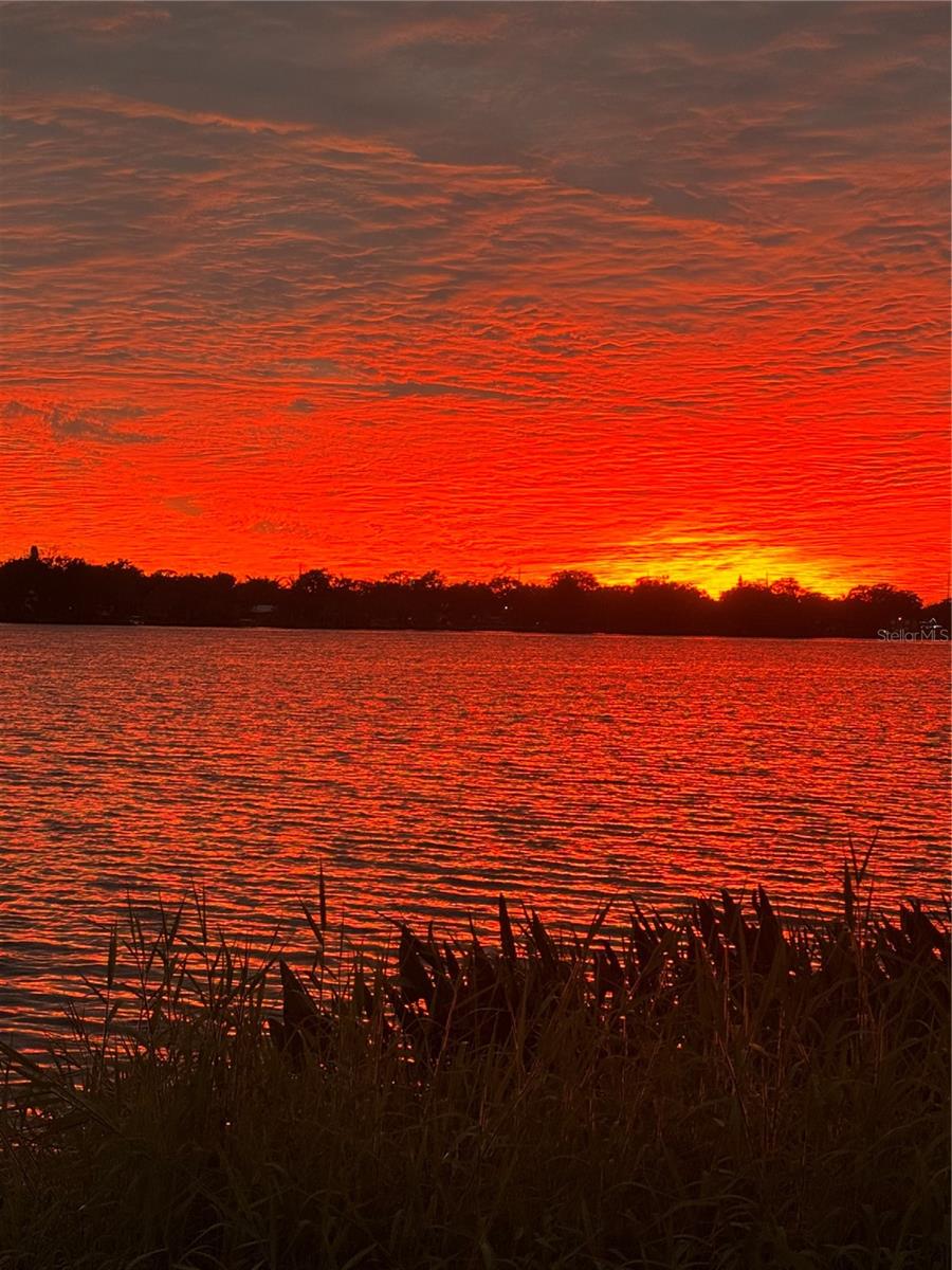 Image 4 of 22 For 1500 Gay Road 20d