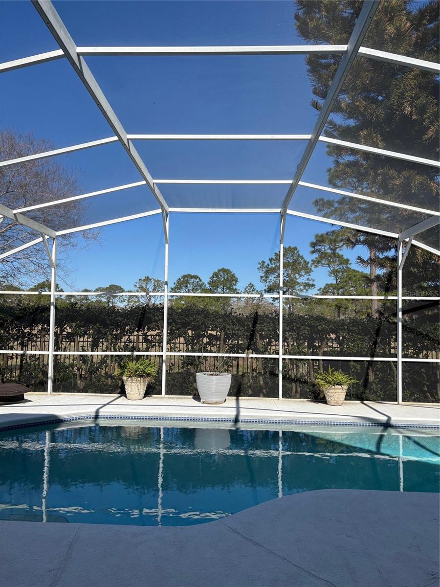 Image 29 of 31 For 2835 Crane Trace Circle