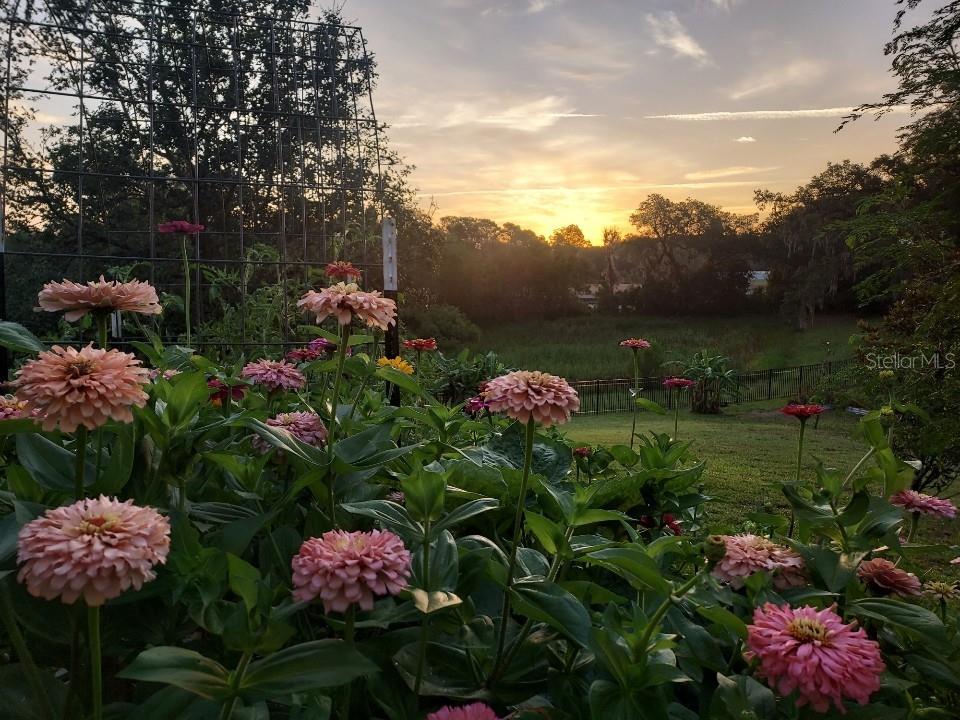 Image 49 of 49 For 30339 Plymouth Creek Circle