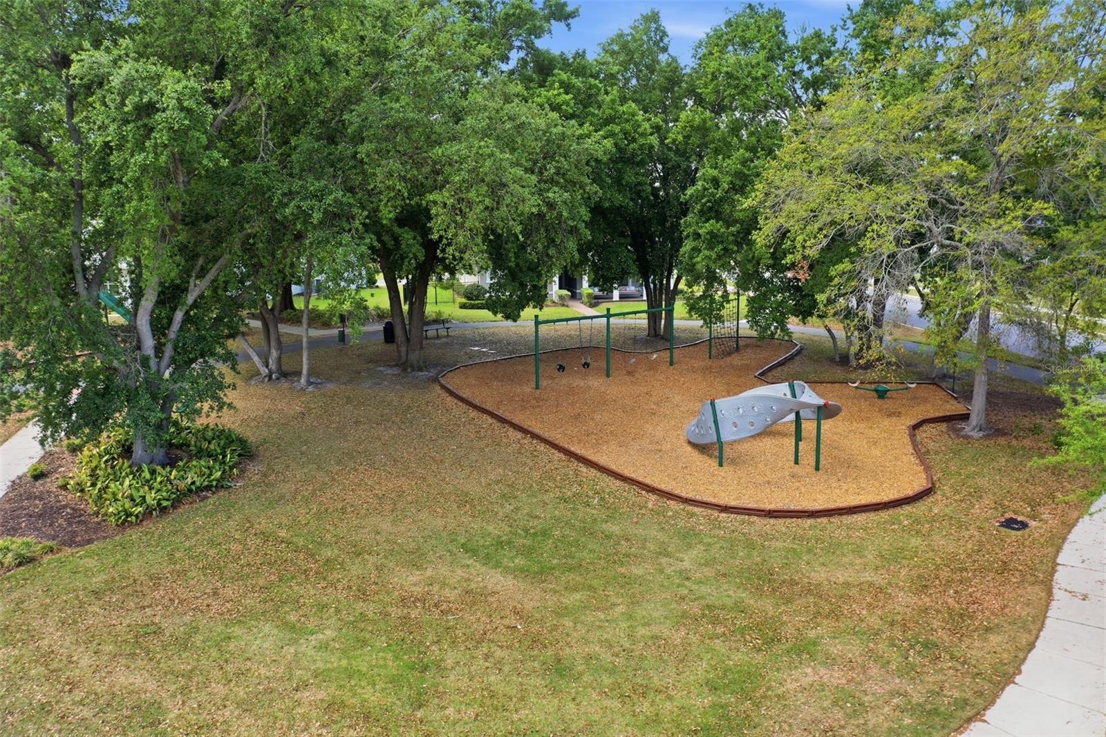 Image 34 of 36 For 2117 Gopher Tortoise Terrace