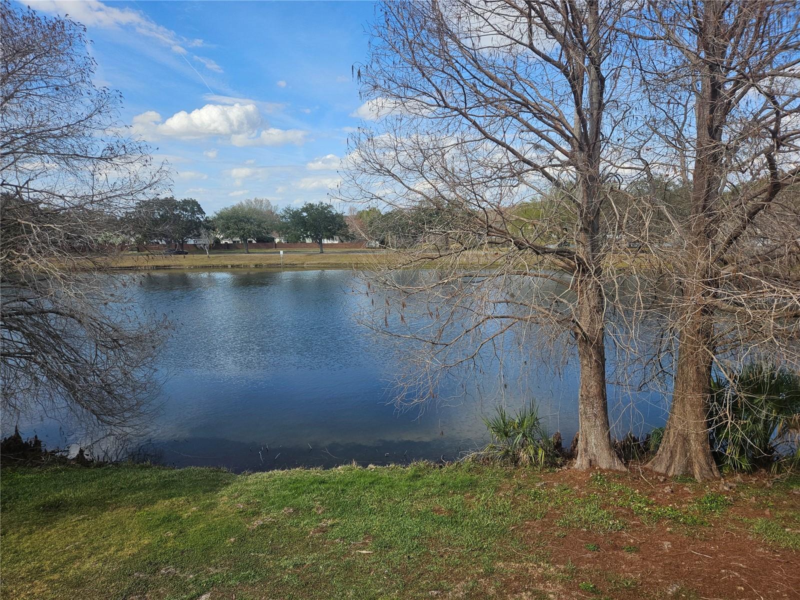 Image 40 of 41 For 2321 Water View Loop