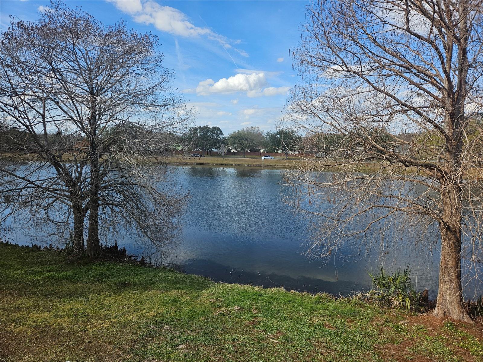 Image 41 of 41 For 2321 Water View Loop