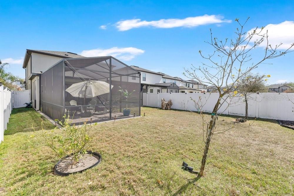 Image 24 of 37 For 9547 Juniper Moss Circle