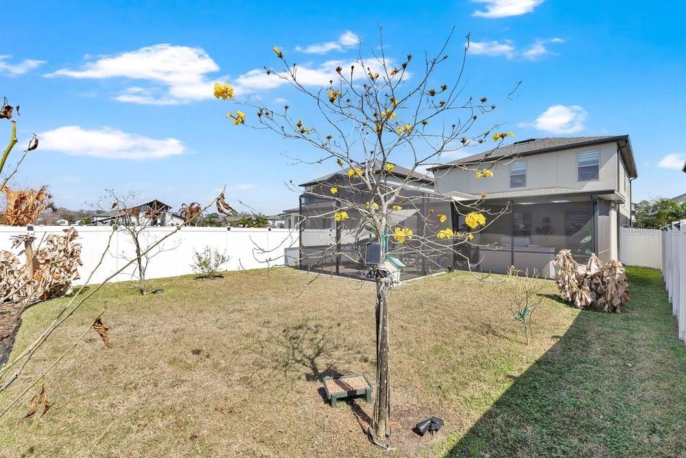 Image 25 of 37 For 9547 Juniper Moss Circle