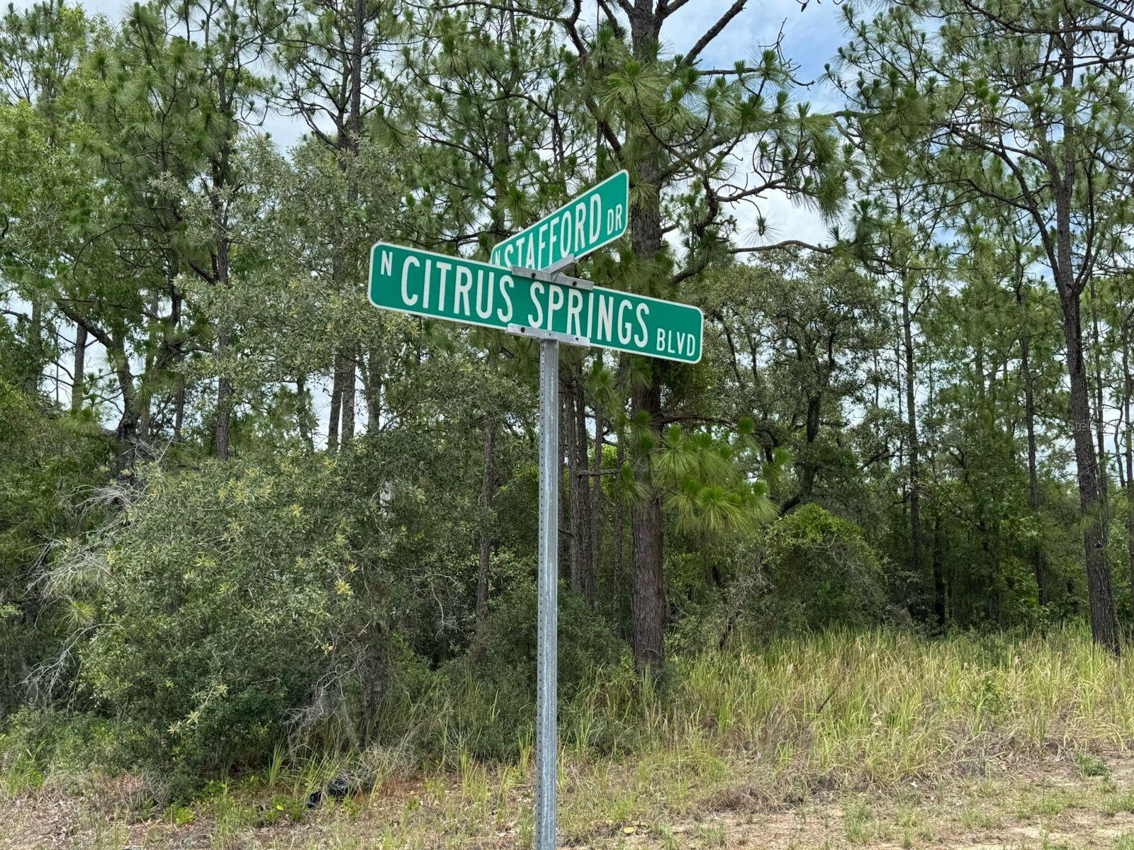 Image 4 of 13 For 9391 Stafford Drive