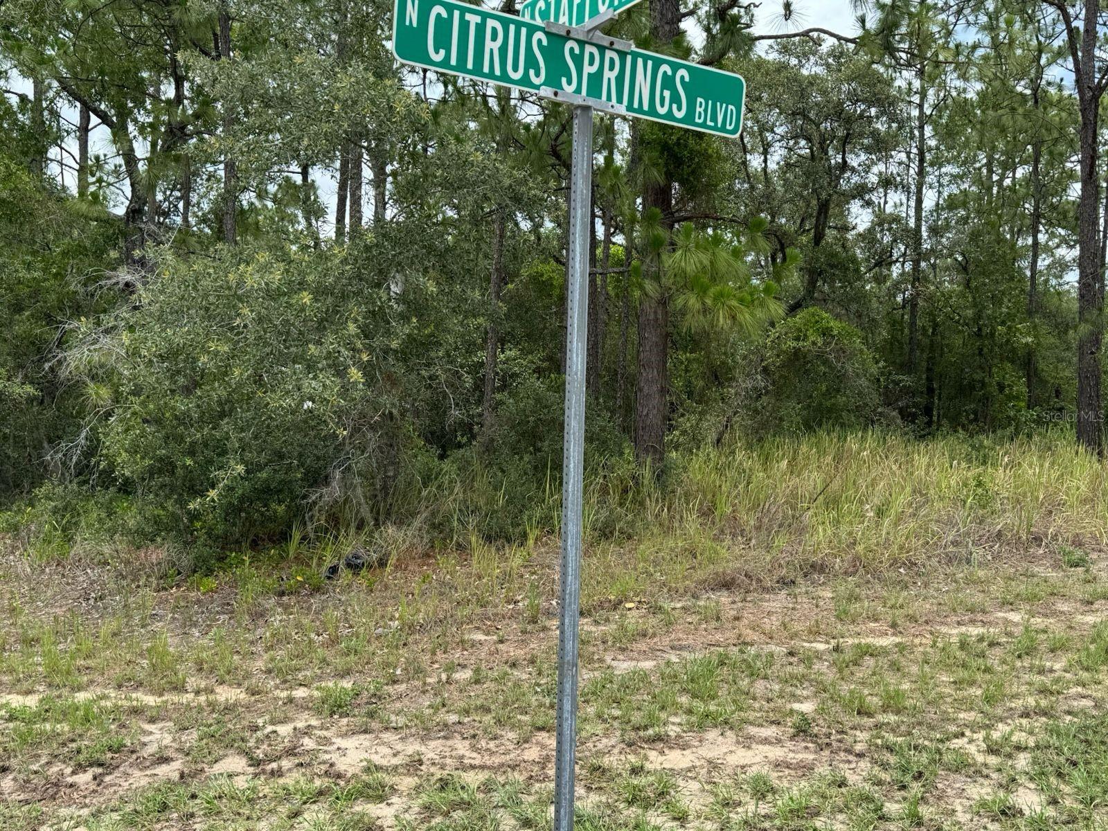 Image 5 of 13 For 9391 Stafford Drive