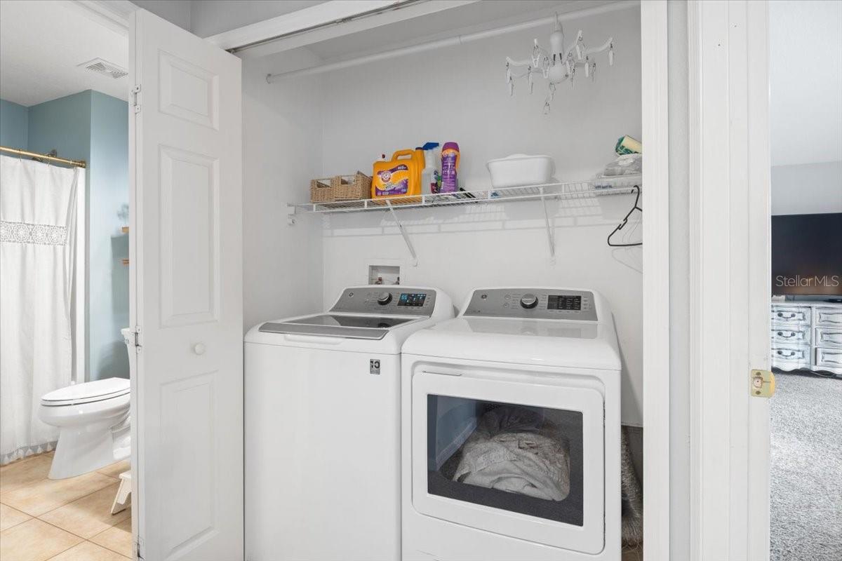 Image 26 of 32 For 673 Red Pepper Loop