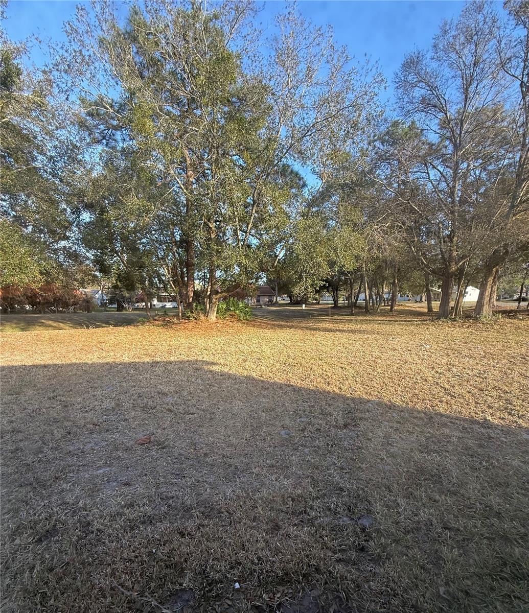 Image 14 of 14 For 10159 Crown Court