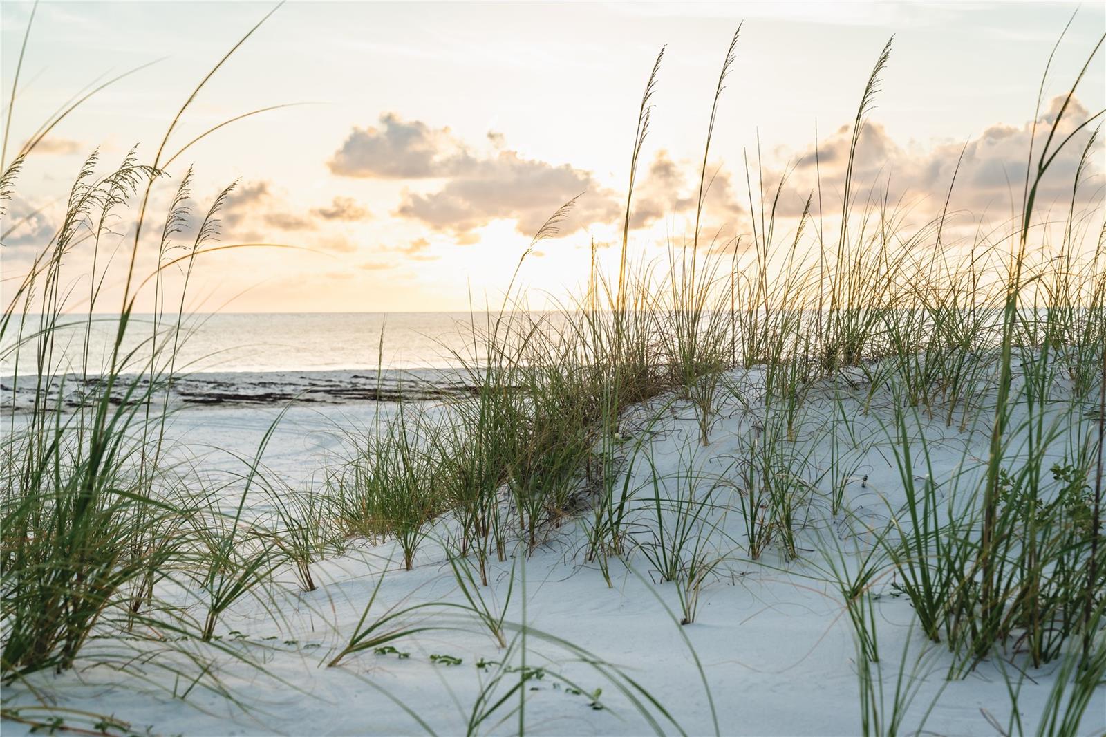 Image 18 of 34 For 1817 Highway 98