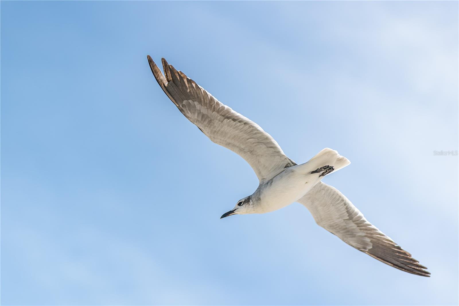 Image 19 of 34 For 1817 Highway 98