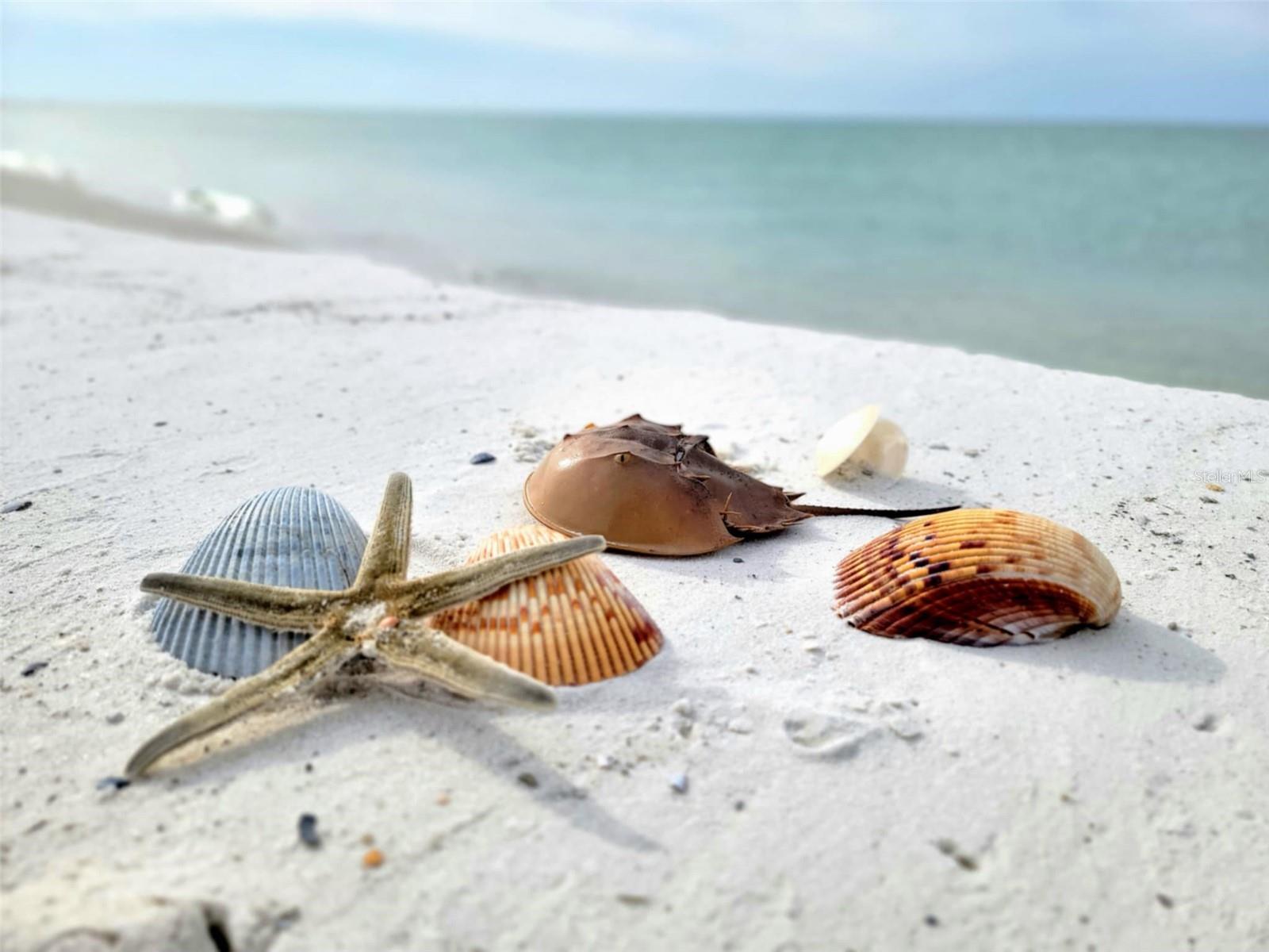 Image 30 of 34 For 1817 Highway 98