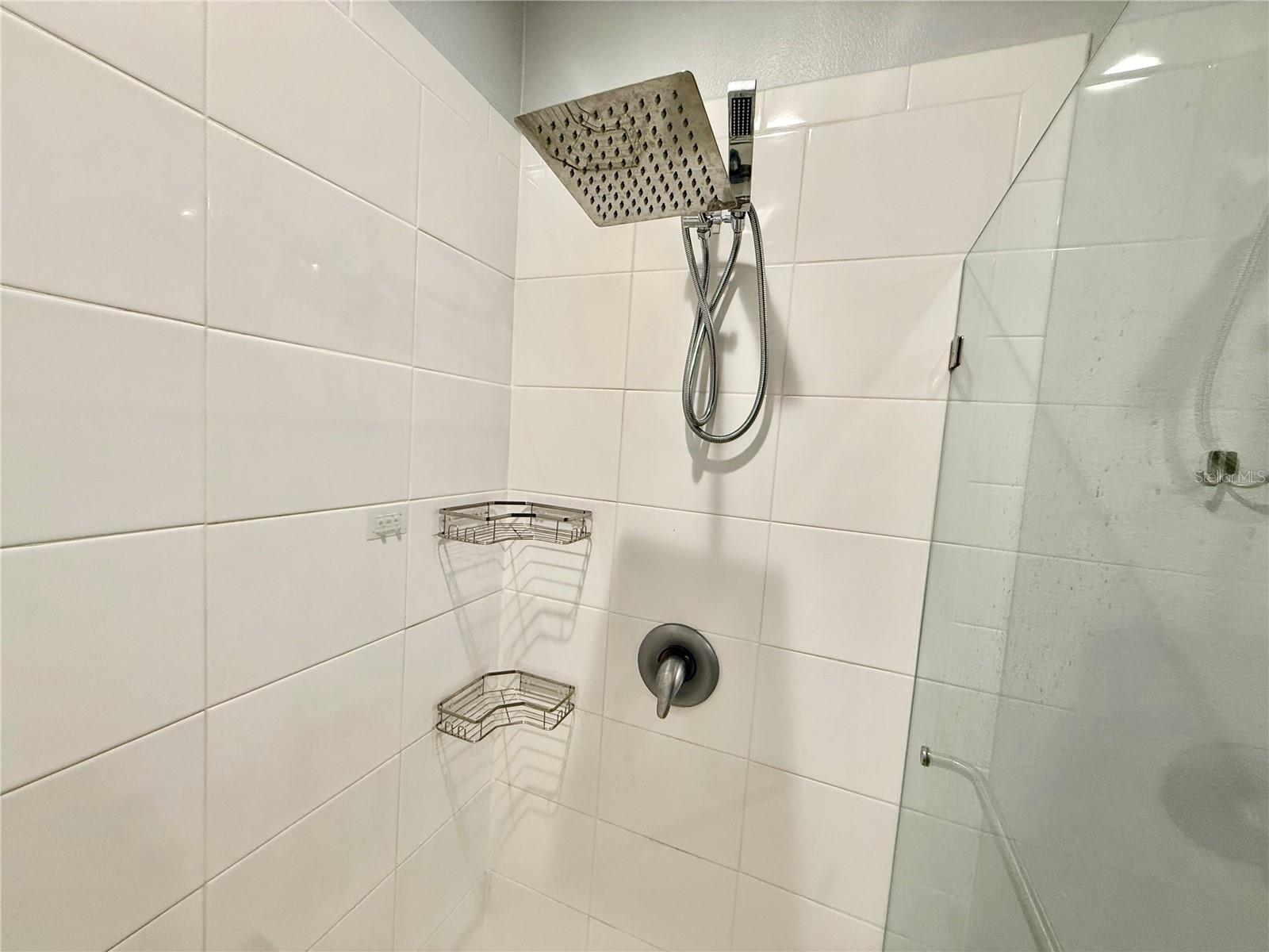 Image 23 of 39 For 3305 Royal Tern