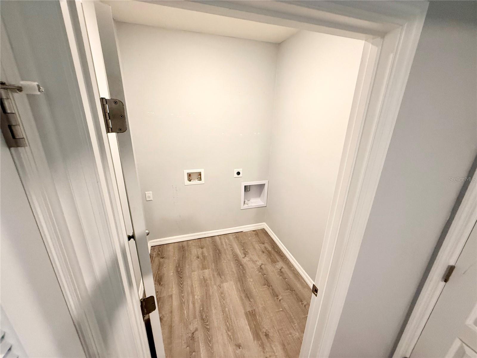 Image 29 of 39 For 3305 Royal Tern