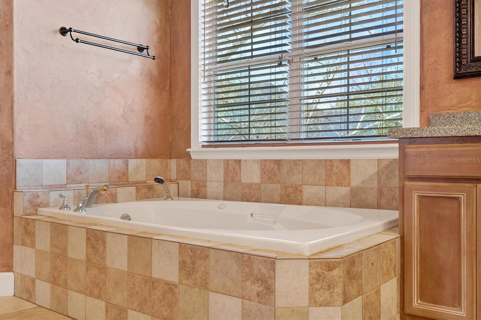 Image 36 of 79 For 441 Courtlea Oaks Boulevard