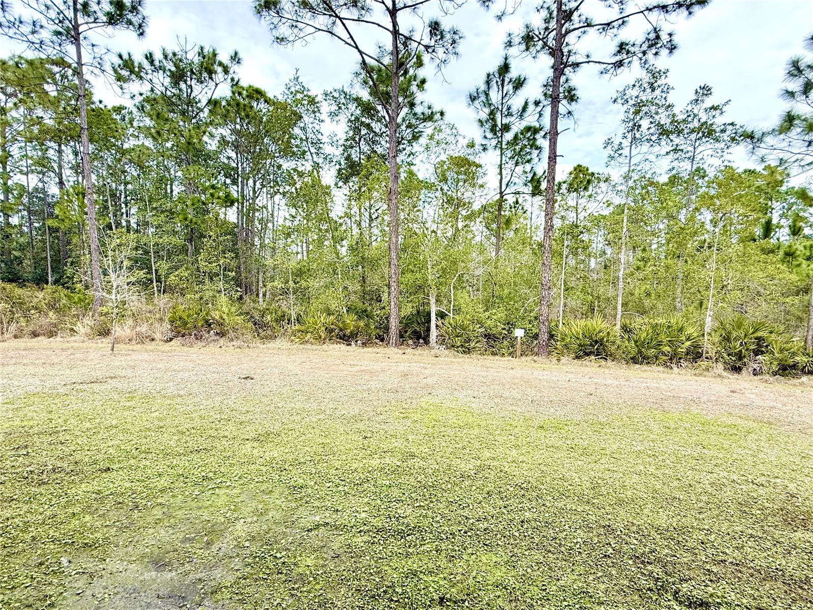 Image 37 of 37 For 245 Carabelle Court