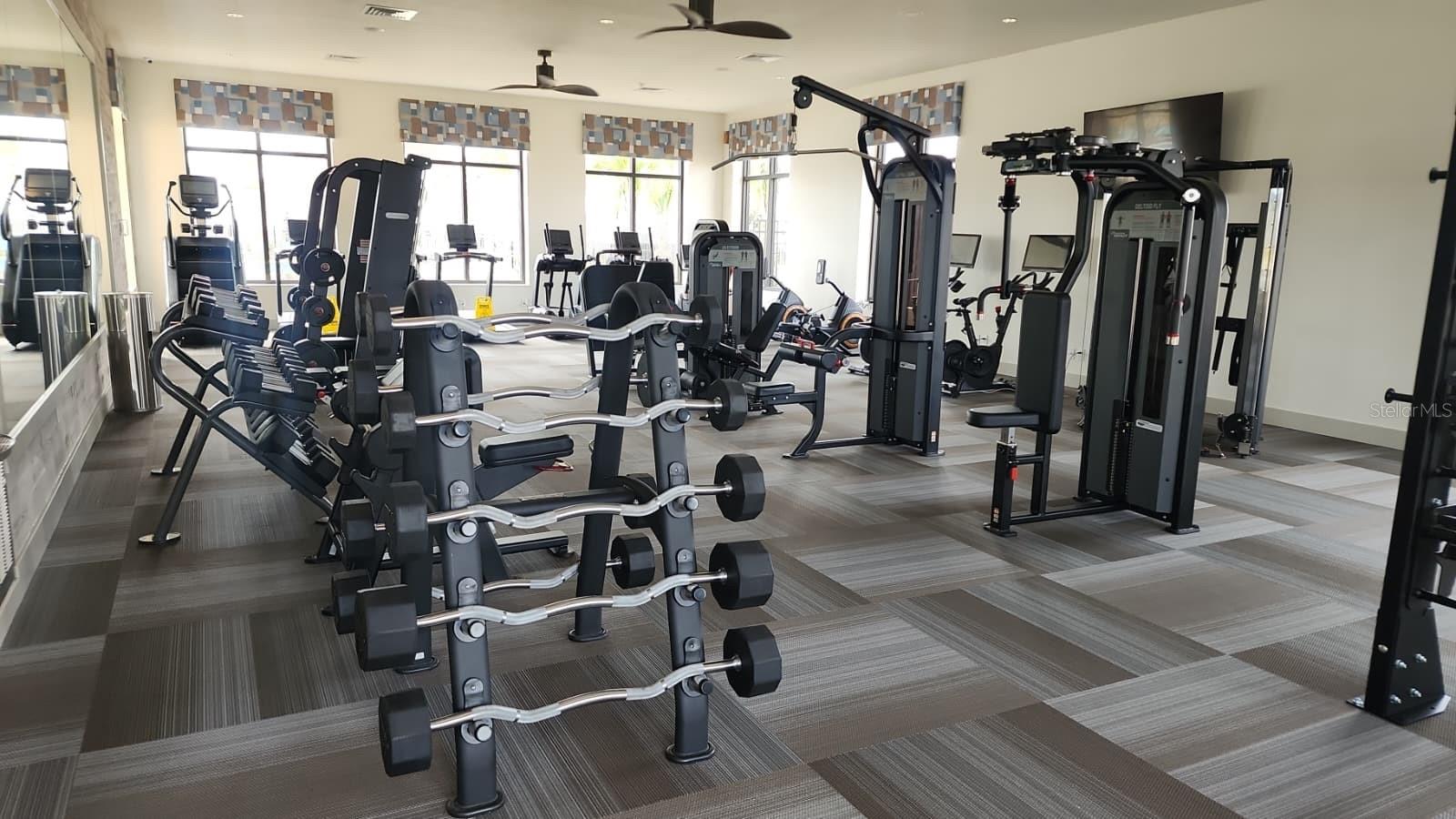 Image 26 of 26 For 2189 Lasso Loop