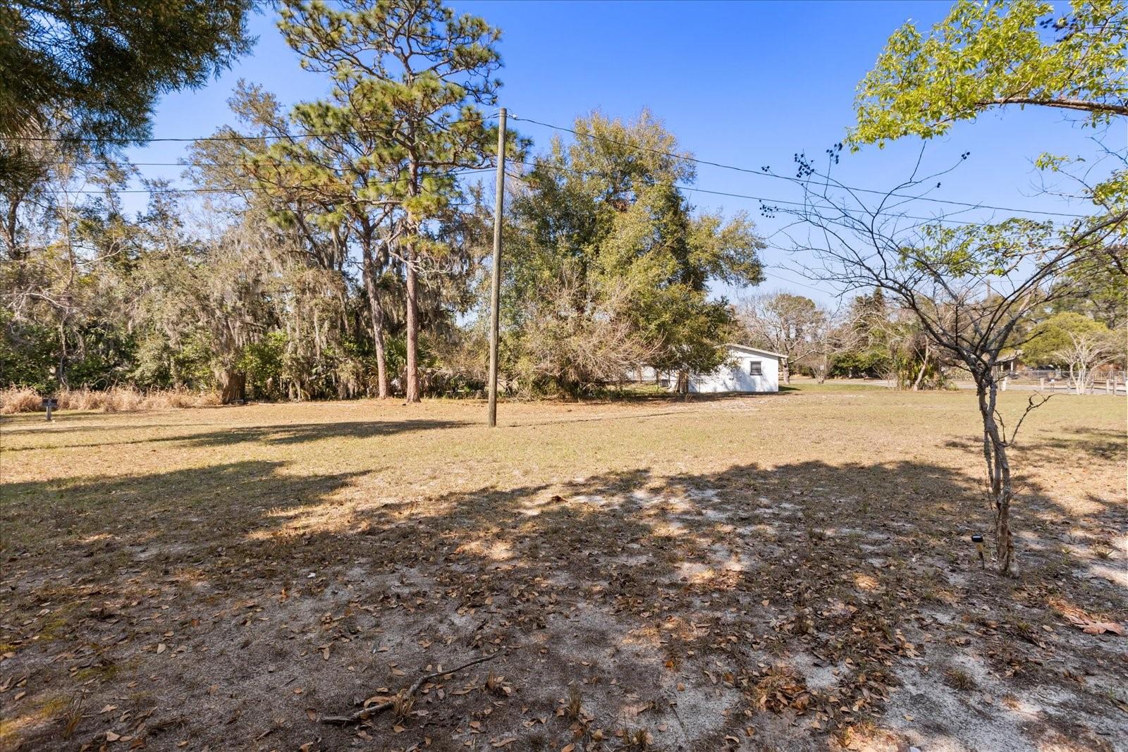 Image 13 of 40 For  Doctors  