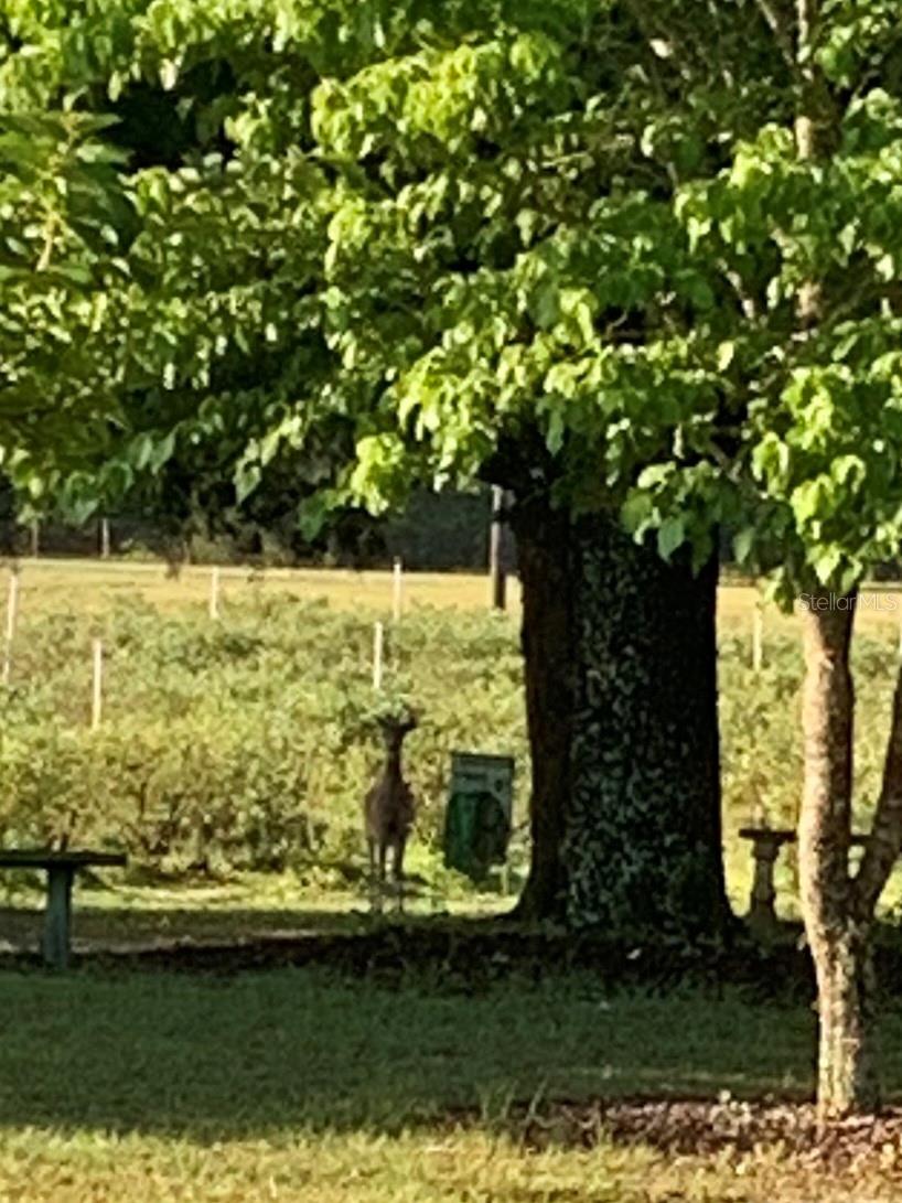 Image 61 of 82 For 7650 40th Street