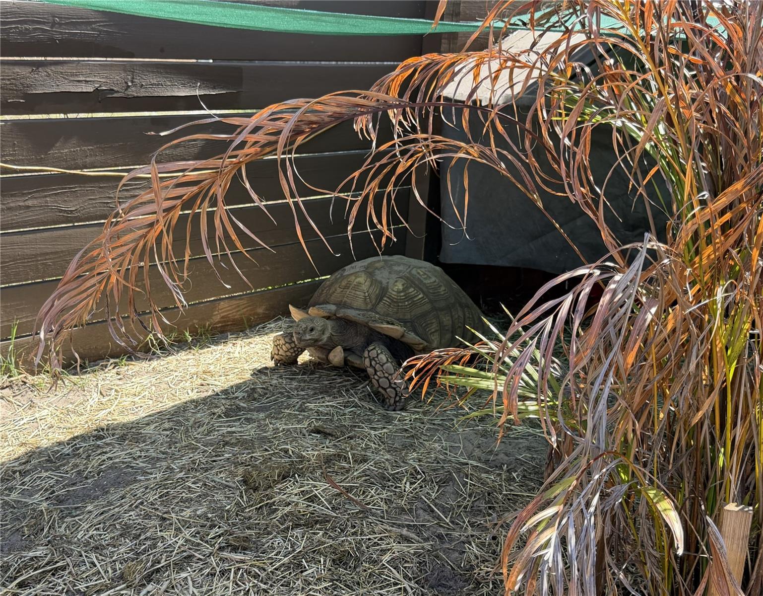 Image 34 of 34 For 1501 Avalon Boulevard