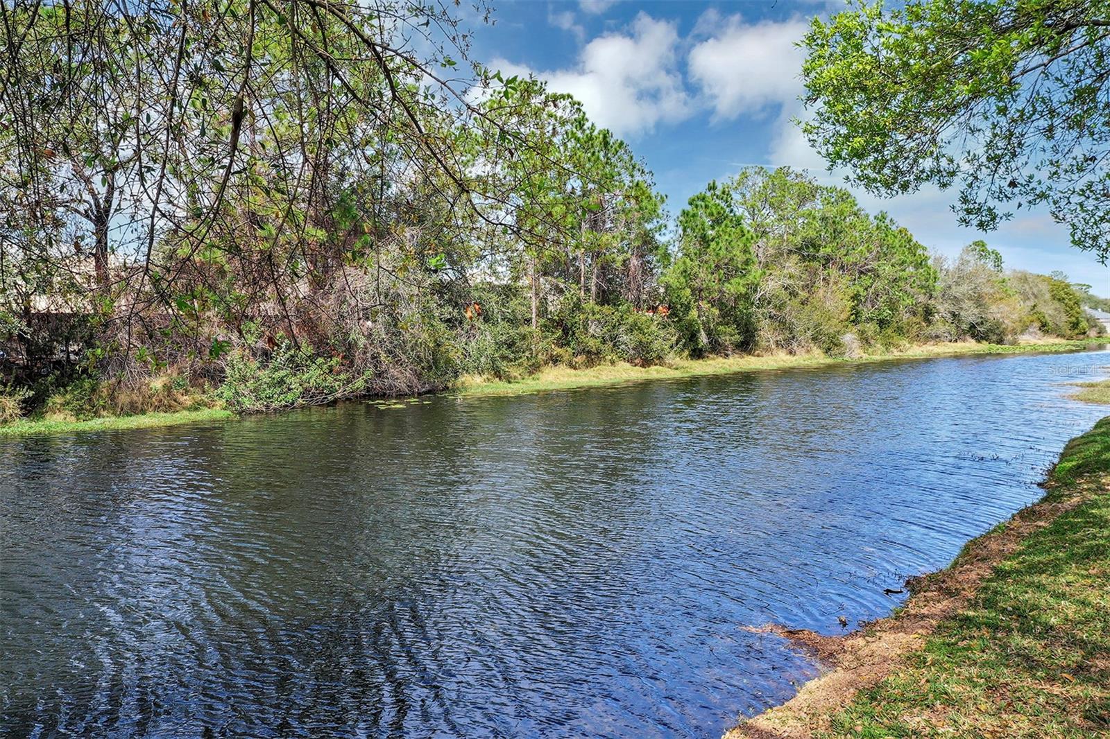 Image 6 of 52 For 1829 Snaresbrook Way