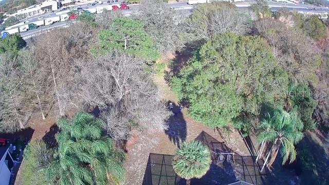 Image 12 of 64 For 7912 Courtleigh Drive