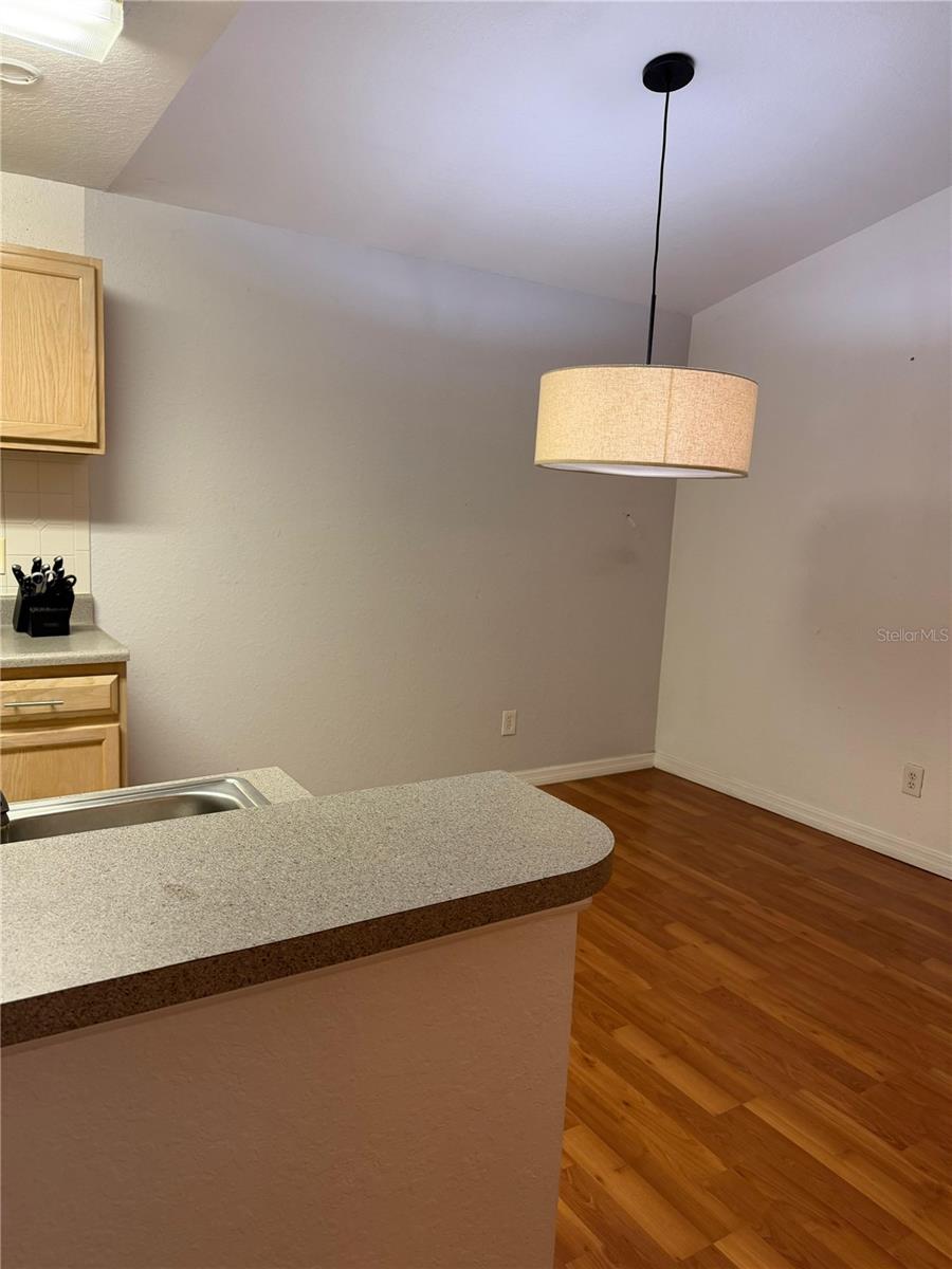 Image 41 of 46 For 7630 Pissarro Drive 16308