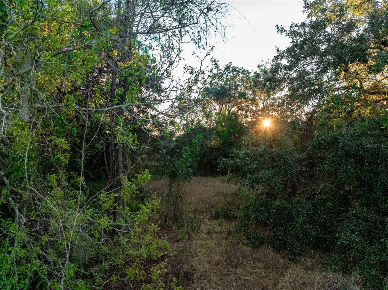 Image 2 of 2 For 6705 Balsam Place