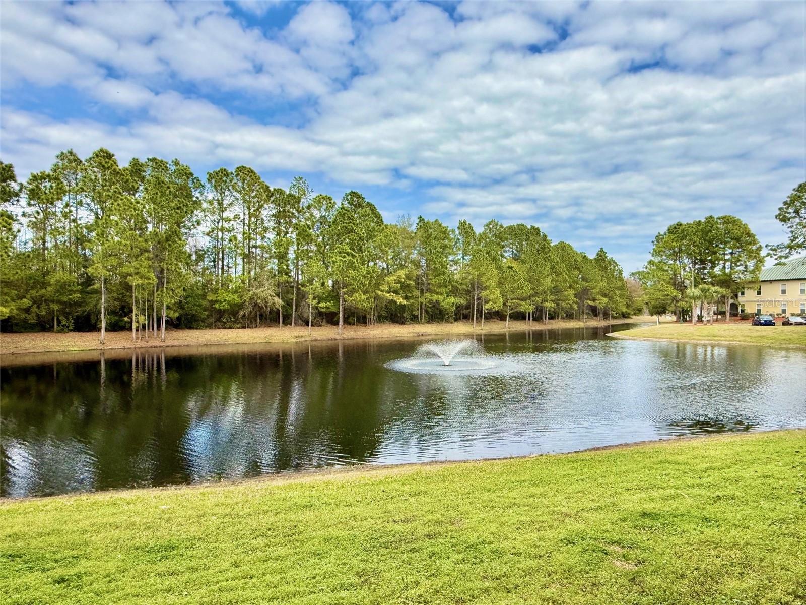 Image 22 of 37 For 8911 Legacy Court 207