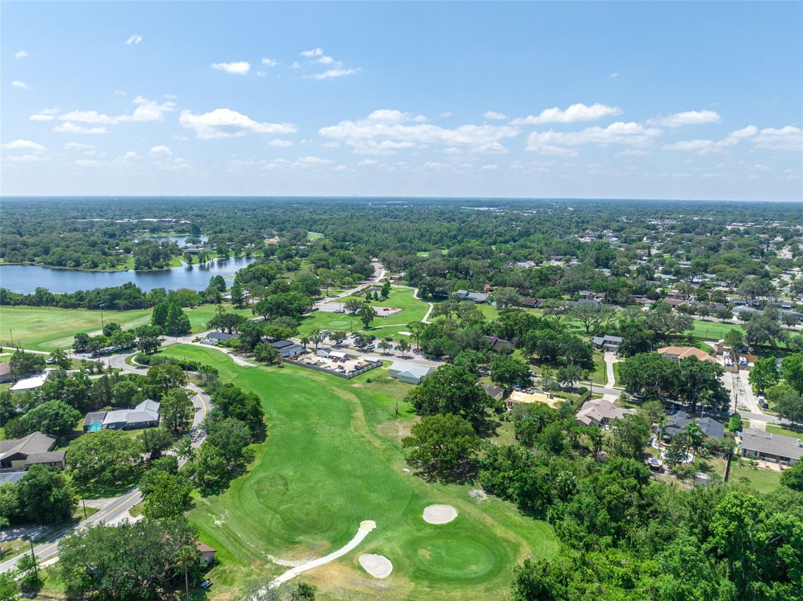 Image 11 of 17 For Zinnia