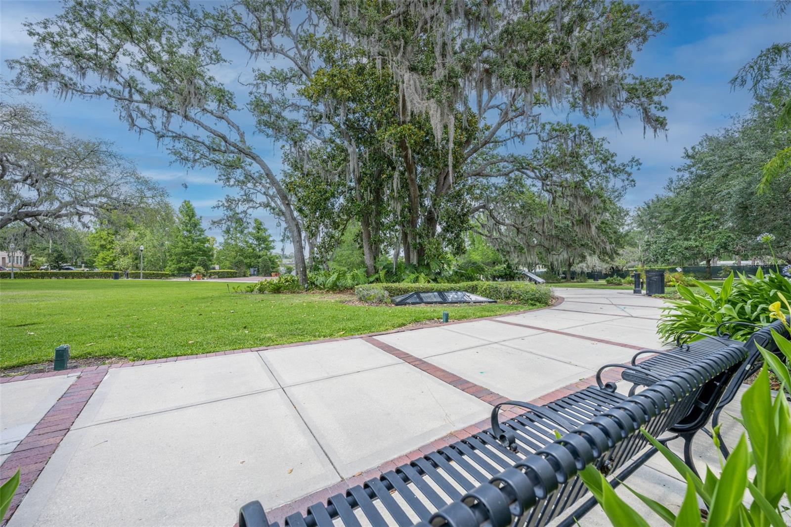 Image 13 of 17 For Zinnia