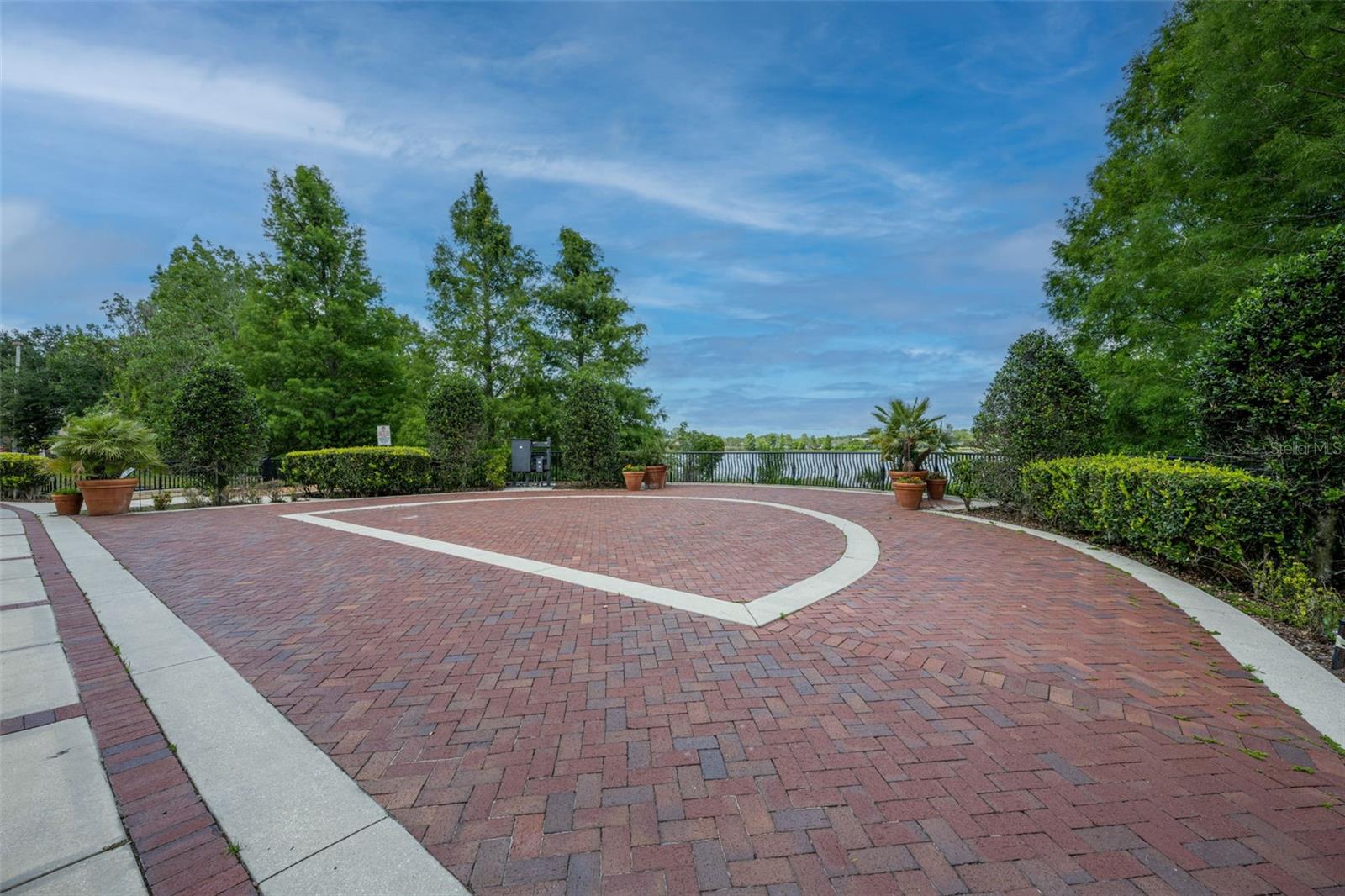 Image 14 of 17 For Zinnia