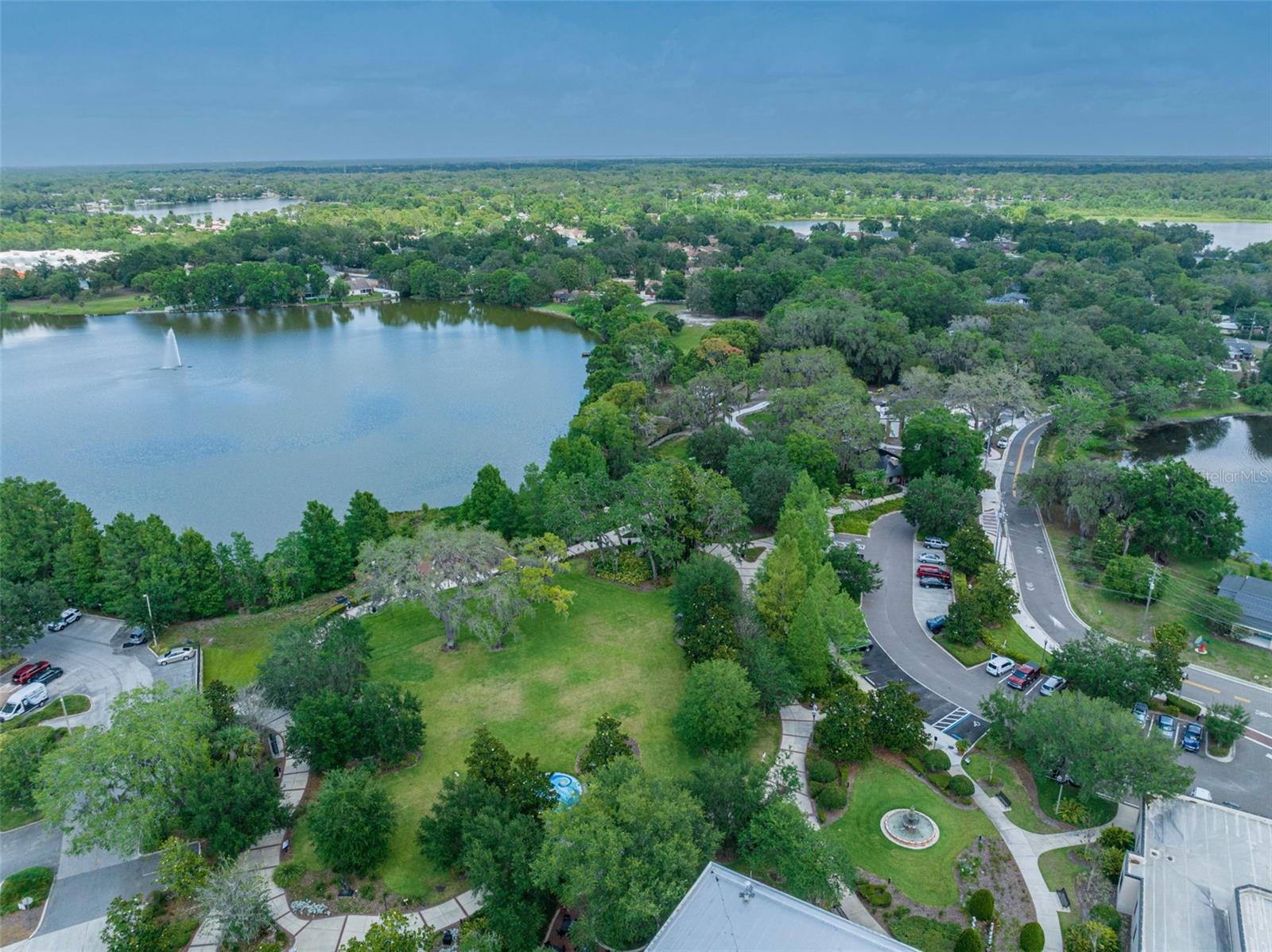 Image 15 of 17 For Zinnia