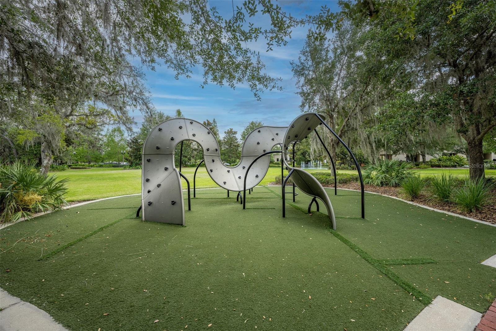 Image 17 of 17 For Zinnia