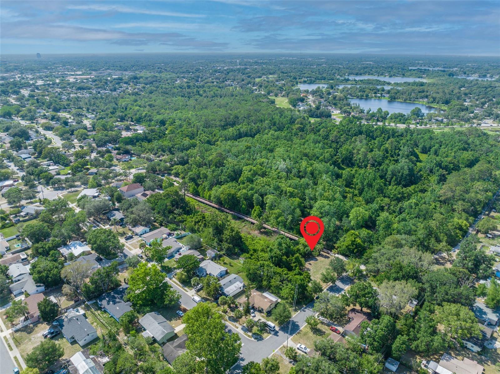 Image 3 of 17 For Zinnia