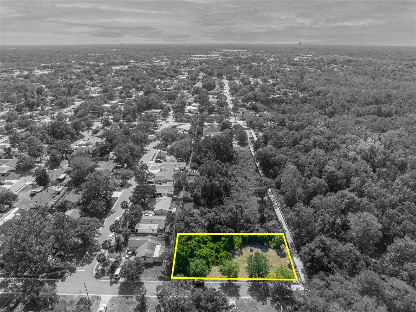 Image 4 of 17 For Zinnia