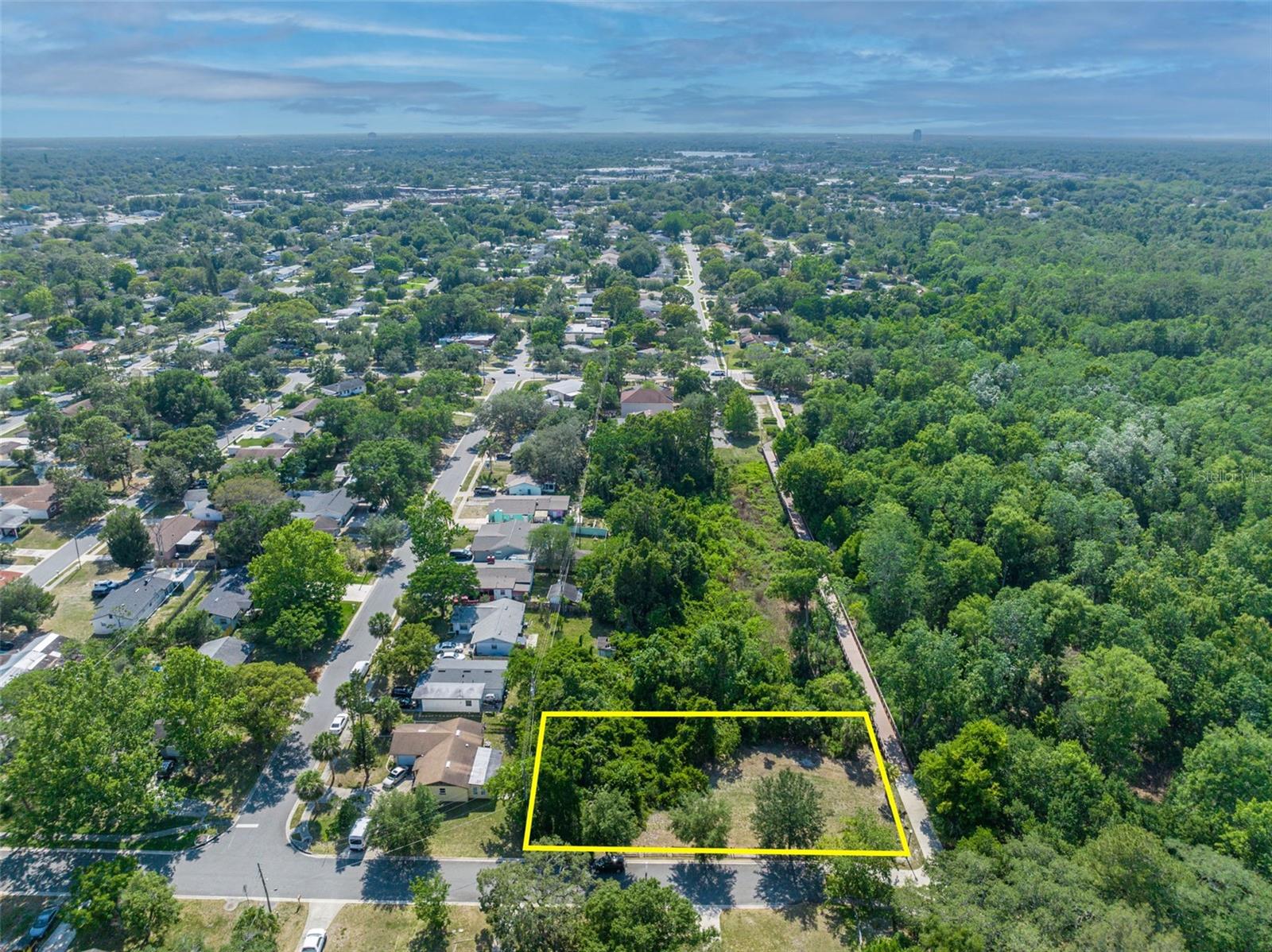 Image 5 of 17 For Zinnia