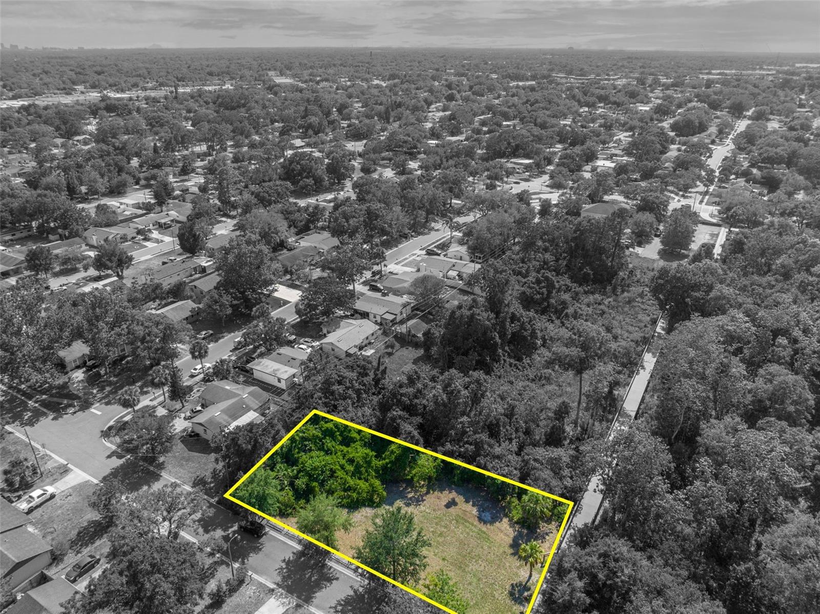 Image 6 of 17 For Zinnia