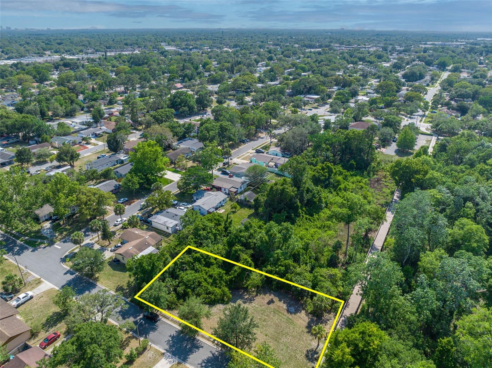 Image 7 of 17 For Zinnia