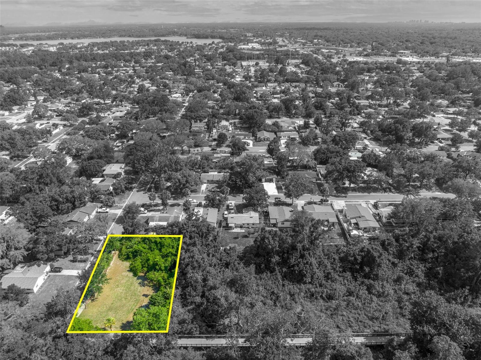 Image 8 of 17 For Zinnia