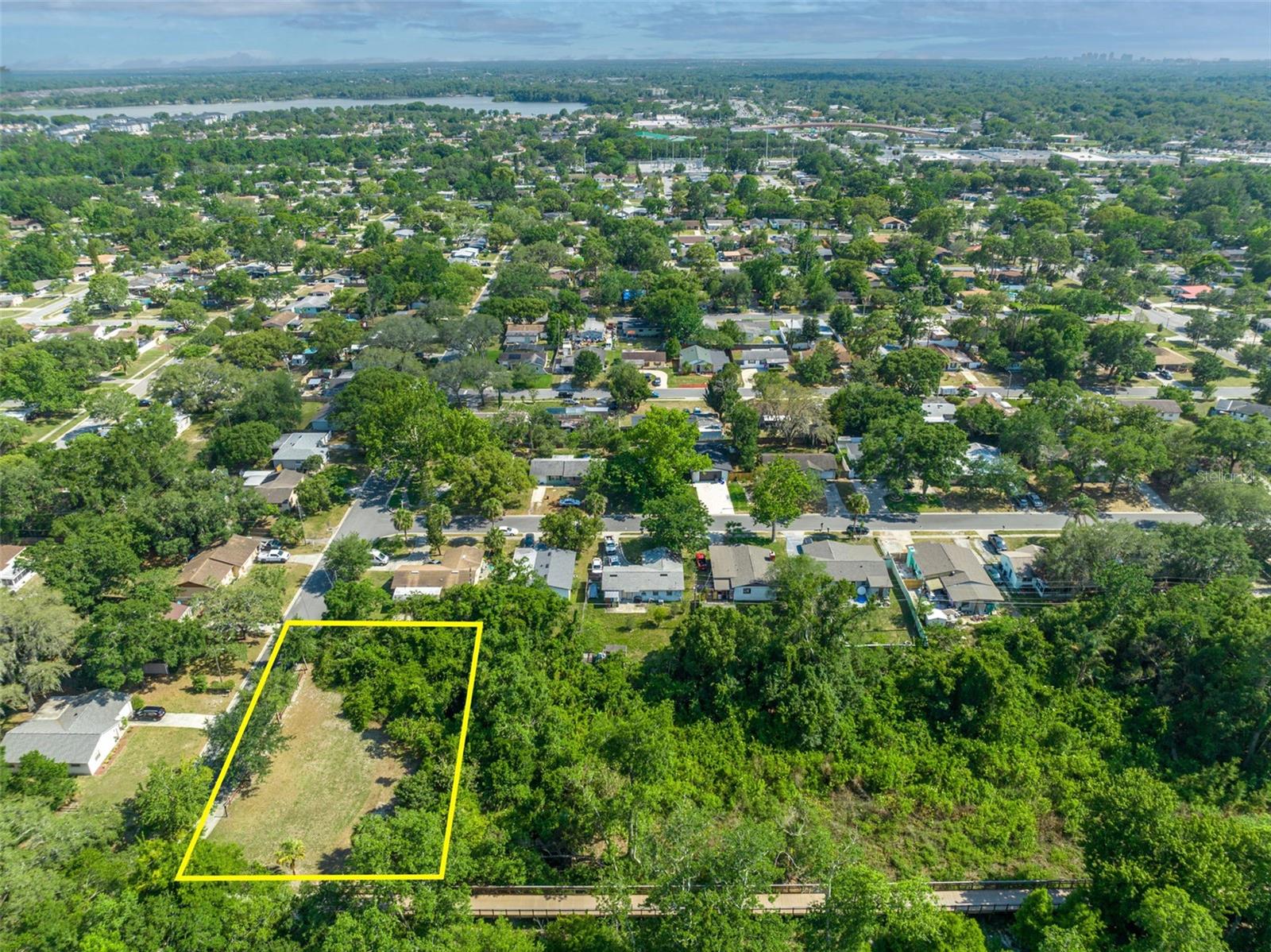 Image 9 of 17 For Zinnia