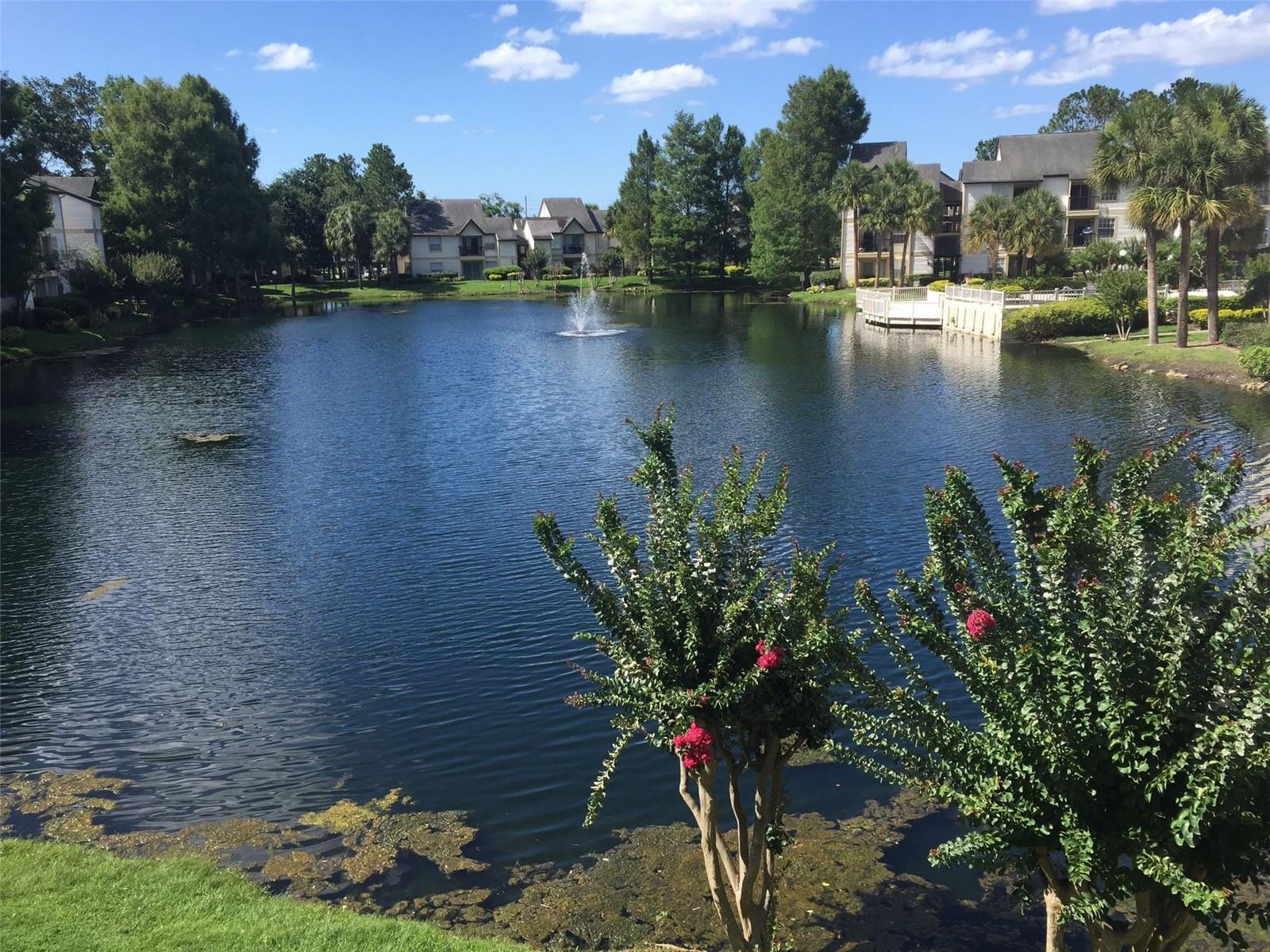 Image 2 of 14 For 1908 Lake Atriums Circle 104