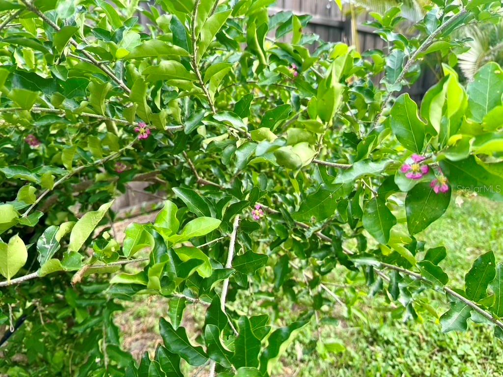 Image 35 of 87 For 1815 Barker Drive