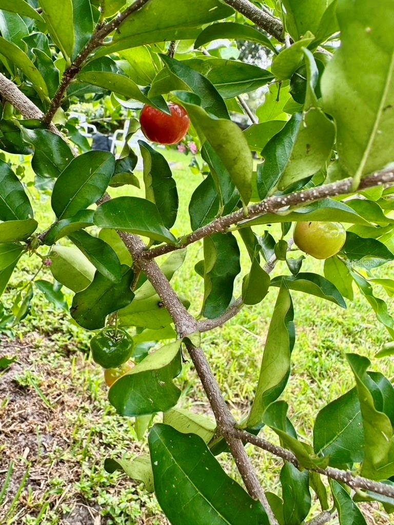 Image 40 of 87 For 1815 Barker Drive