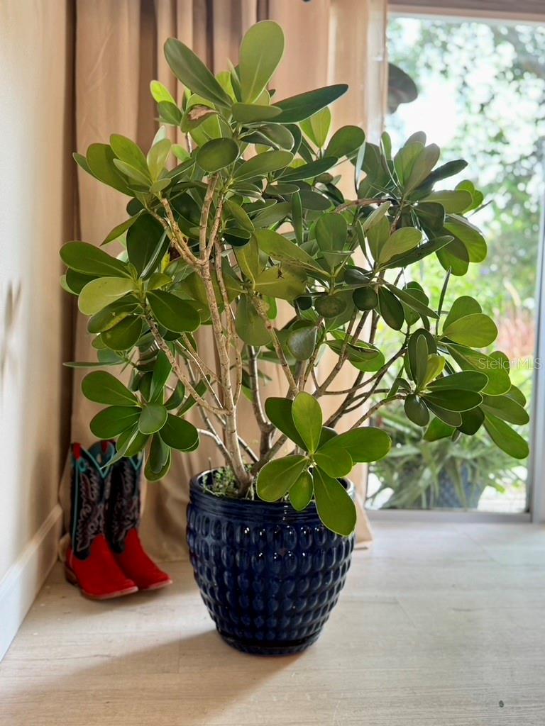 Image 51 of 87 For 1815 Barker Drive